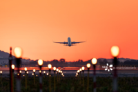 Air Freight Distribution